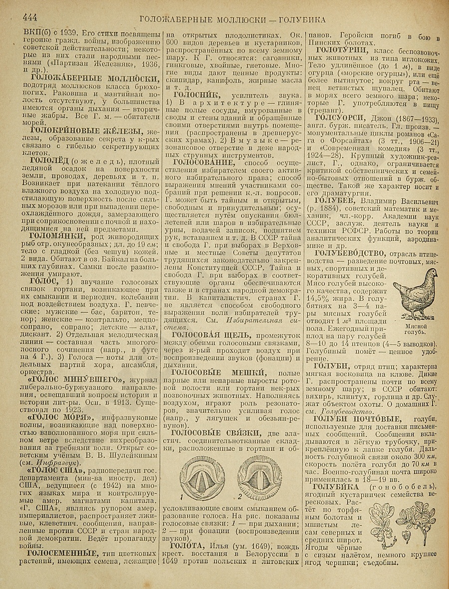 Энциклопедический словарь 1953. Стр. 444 - Голожаберные моллюски - Голубика